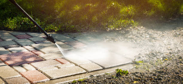 Best Driveway Pressure Washing  in Wyoming, PA